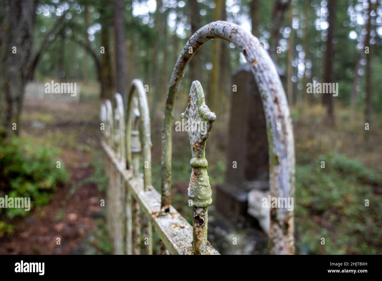 Selektiver Fokus auf einen verrosteten, schmiedeeisernen Zaun in einem großen, bewaldeten Friedhofsgrundstück im pazifischen Nordwesten Stockfoto