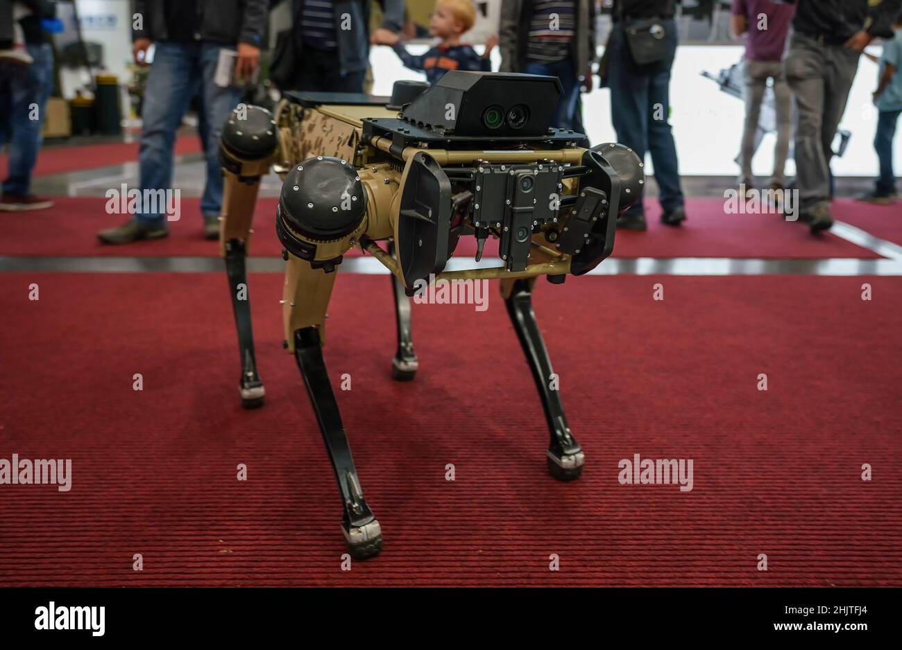 Kleiner autonomer Hund wie ein Roboter, der bei einer Militärausstellung über den roten Teppich läuft, verschwommener Hintergrund Stockfoto