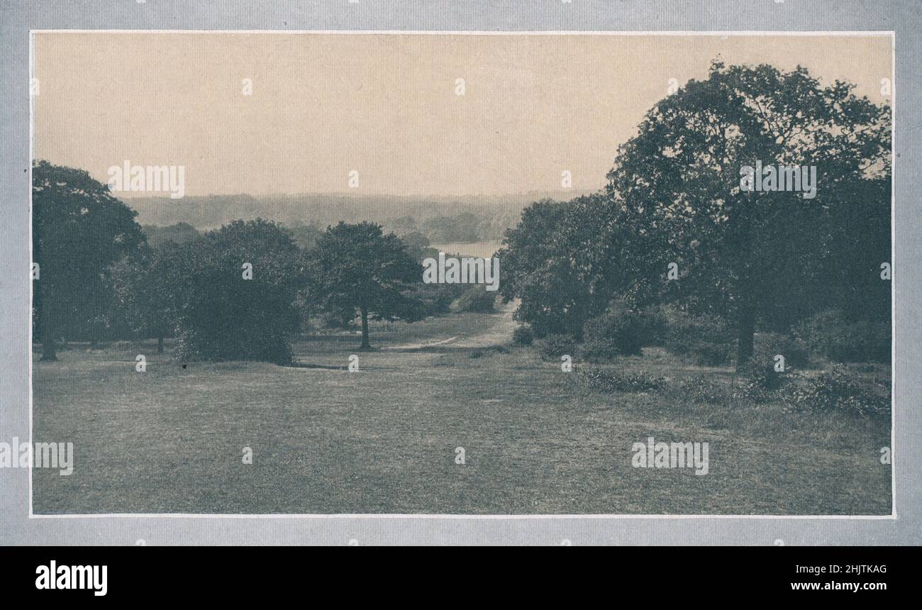 Epping Forest. Essex (1913) Stockfoto