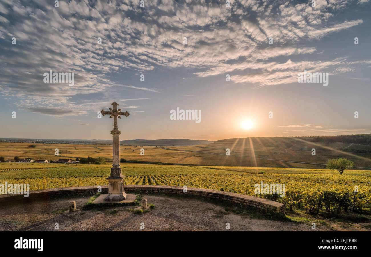 Weinbaulandschaft mit Kalvarienberg des Burgunds Klima Le Charlemagne, Aloxe-Corton, Burgund, Frankreich Stockfoto