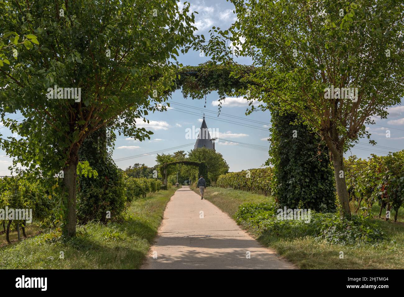 Aussichtsturm in den Weinbergen von Flörsheim-Wicker Stockfoto