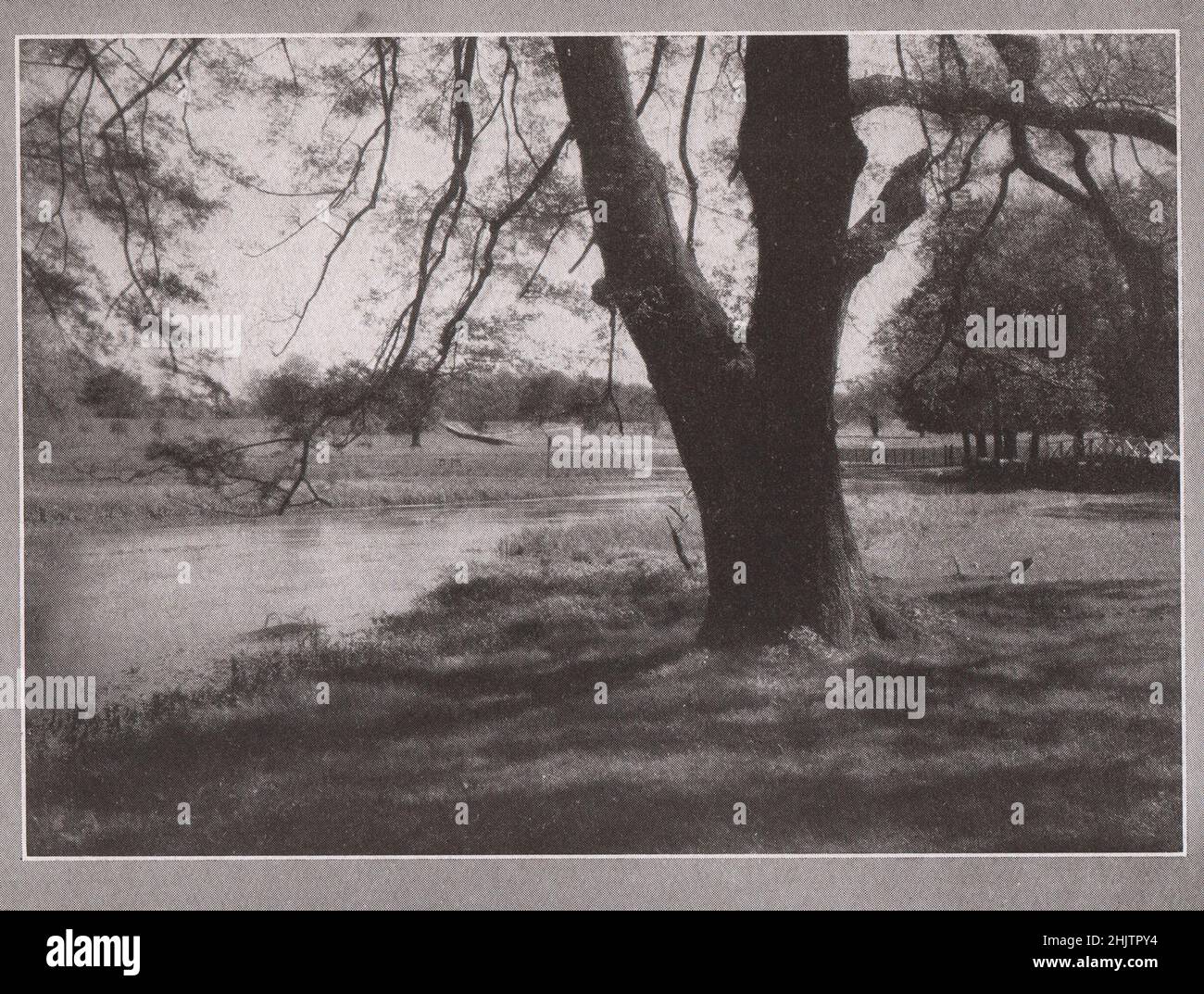 In Cassiobury Park, Watford. Hertfordshire (1913) Stockfoto