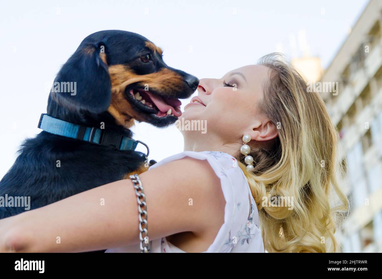 Wunderbar Hund Leckt Frau Bild