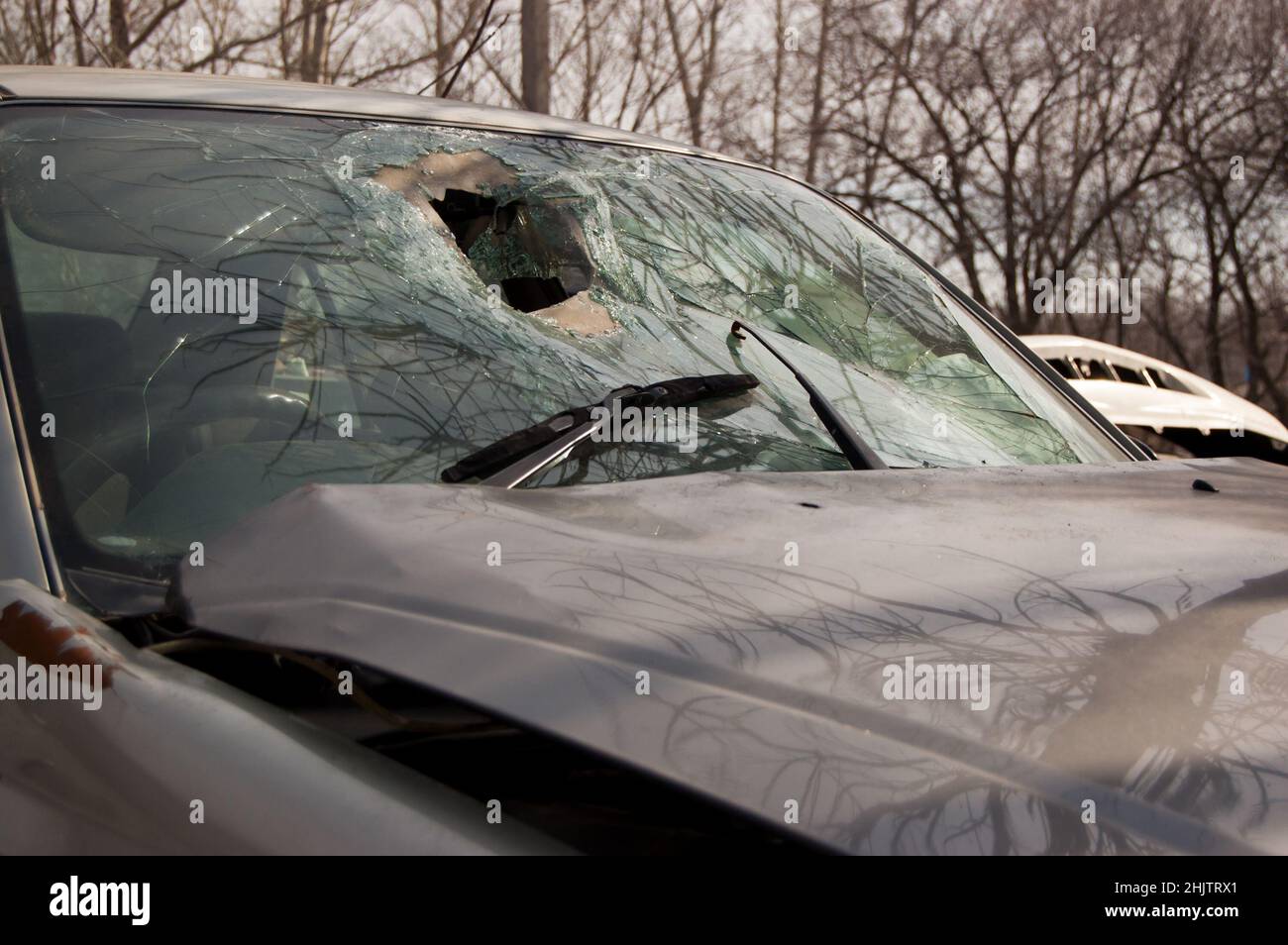 Gebrochene Windschutzscheibe und zerknitterte Motorhaube des Fahrzeugs, die an einem Unfall beteiligt war. Stockfoto