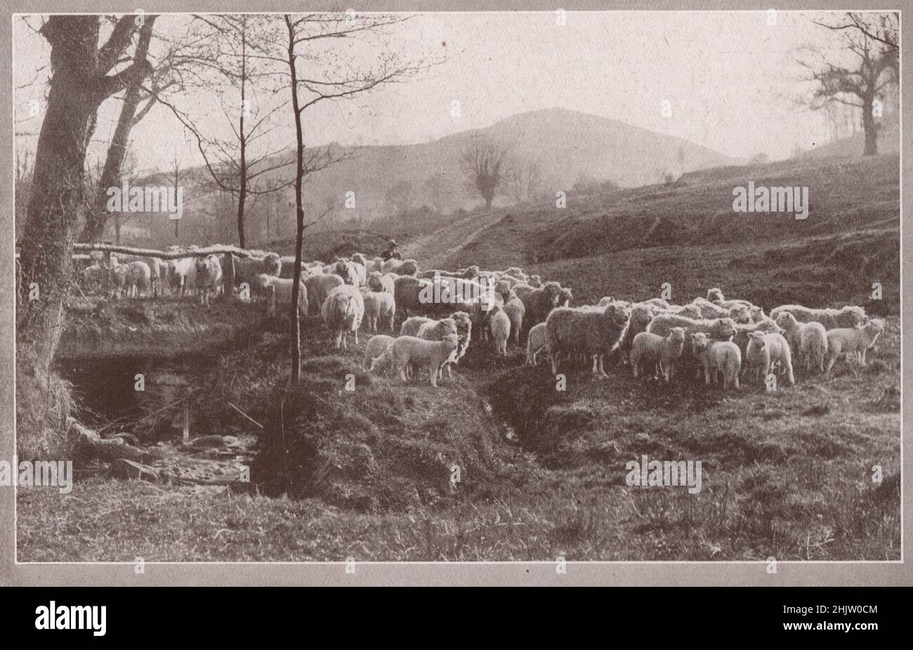In Der Nähe Von Llanfyllin. Montgomeryshire (1913) Stockfoto