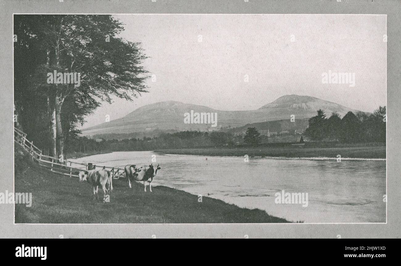 Auf dem Tweed bei Melrose. Roxburghshire (1923) Stockfoto