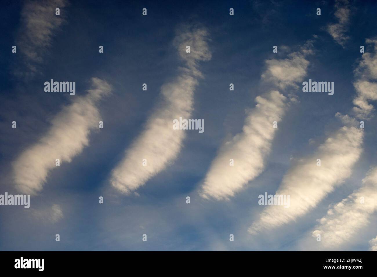 Wolkenstraßen in blauem Himmel, eine Art Wolkenformation, die auch als horizontale konvektive Rollen bekannt ist Stockfoto