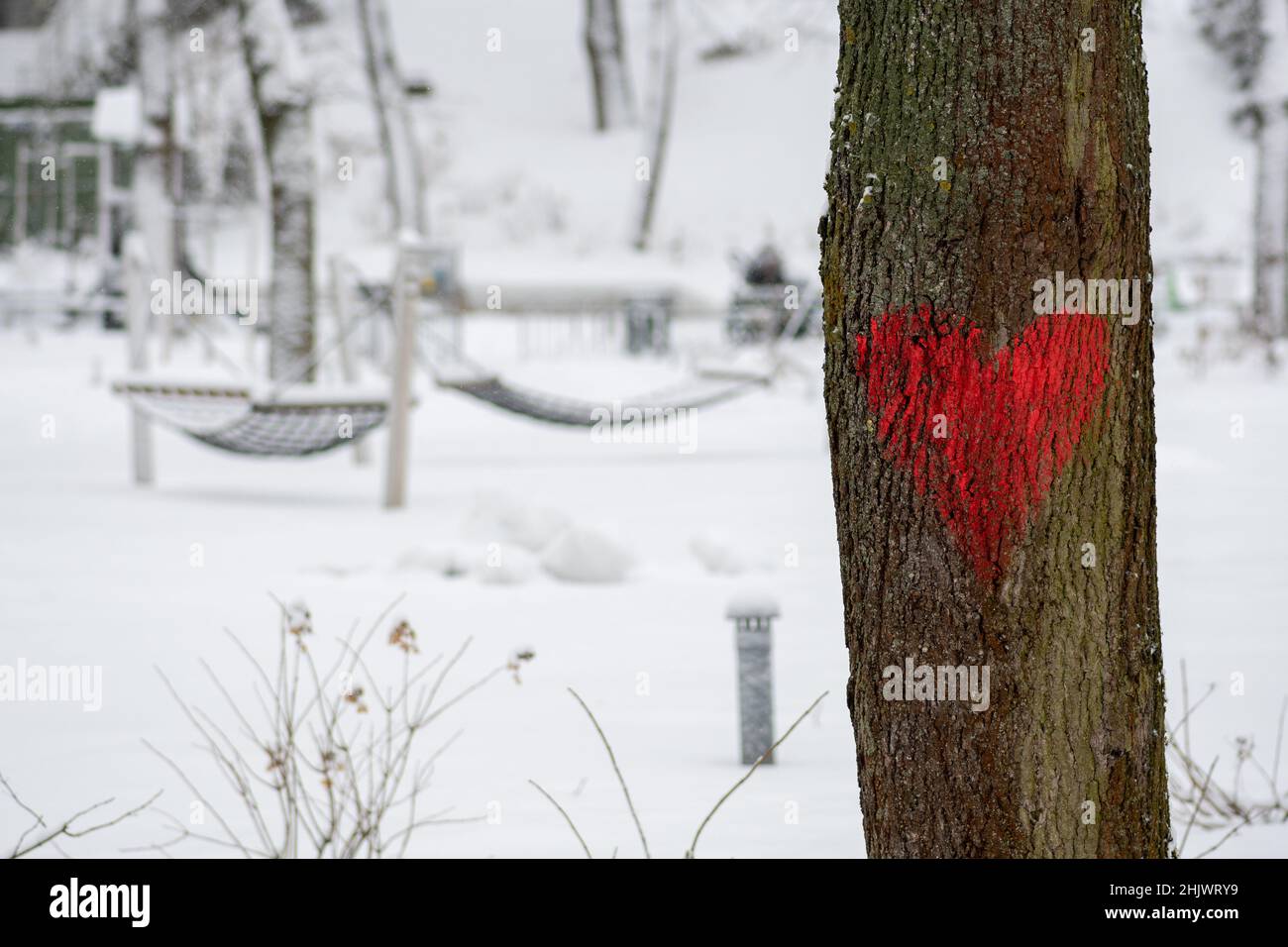 Rotes Herz auf einem Stamm eines alten Baumes in einem Park im Winter mit Schnee gemalt. Valentinstag, Geburtstage oder Hochzeiten und verschiedene Feste Stockfoto