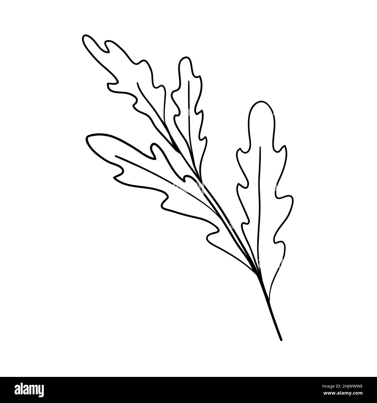 Handgefertigte florale Elemente und Blumen. Vektor-Doodle-Illustration Stock Vektor