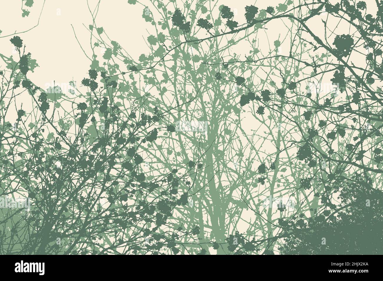 Silhouette von Zweigen mit Beeren. Detaillierte Vektorgrafik Stock Vektor
