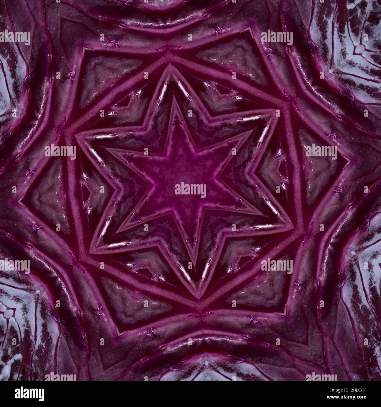 Kaleidoskop wiederholende Muster mit Rotationssymmetrie , Schnitt Rotkohlblätter Muster Stockfoto