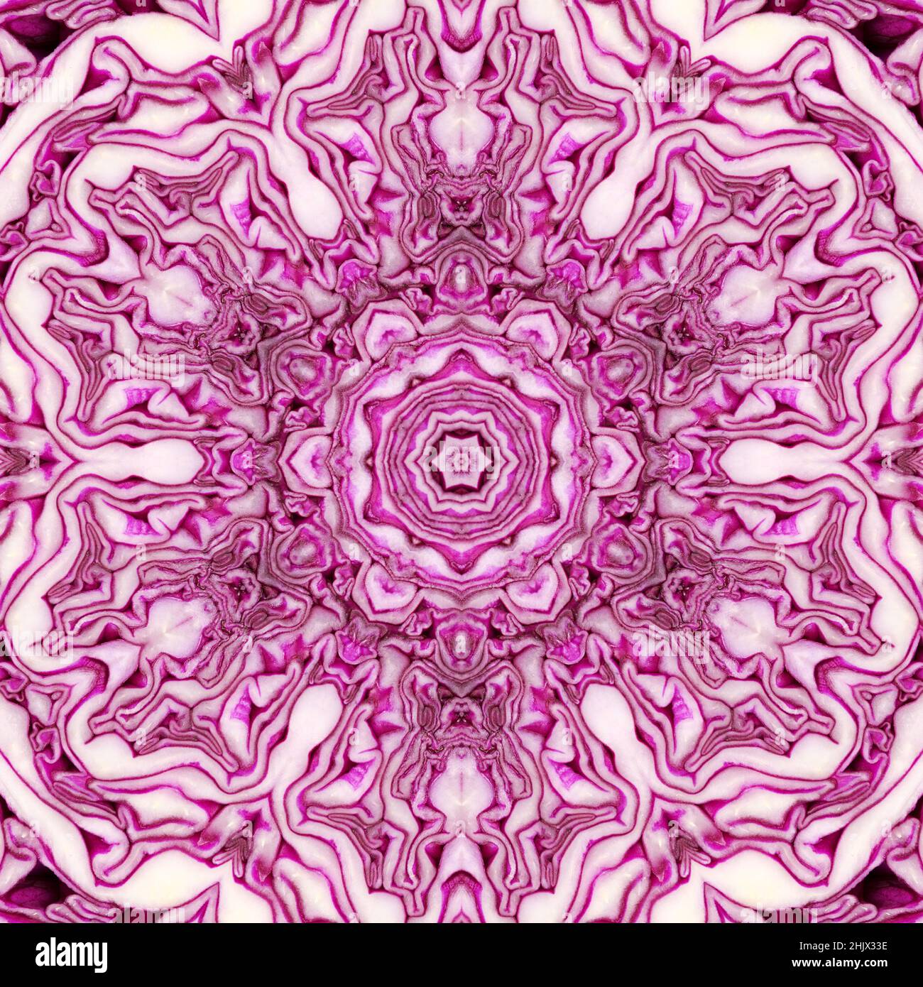 Kaleidoskop wiederholende Muster mit Rotationssymmetrie , Schnitt Rotkohlblätter Muster Stockfoto