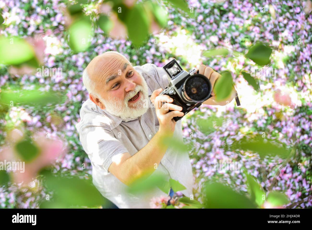 Genießen Sie jeden Moment. Frühling mit rosa Blume. Alter Mann beobachten junge Pflanzen. Fotograf Mann nehmen Sakura Blüte Foto. Kirschblüte Stockfoto