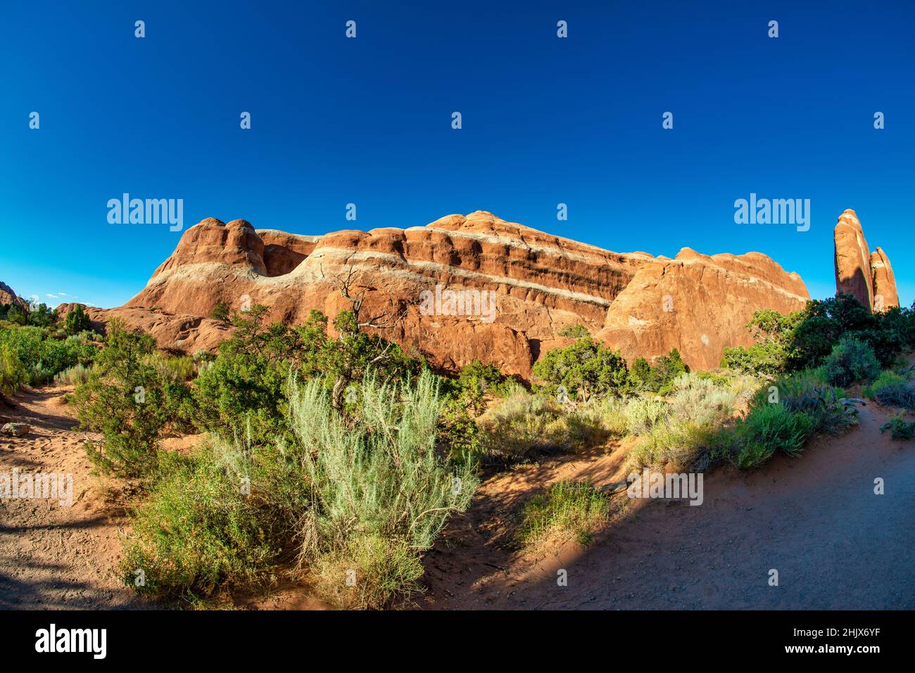 Wunderschöne natürliche Felsformationen im Arches National Park unter blauem Sommerhimmel, Utah. Stockfoto