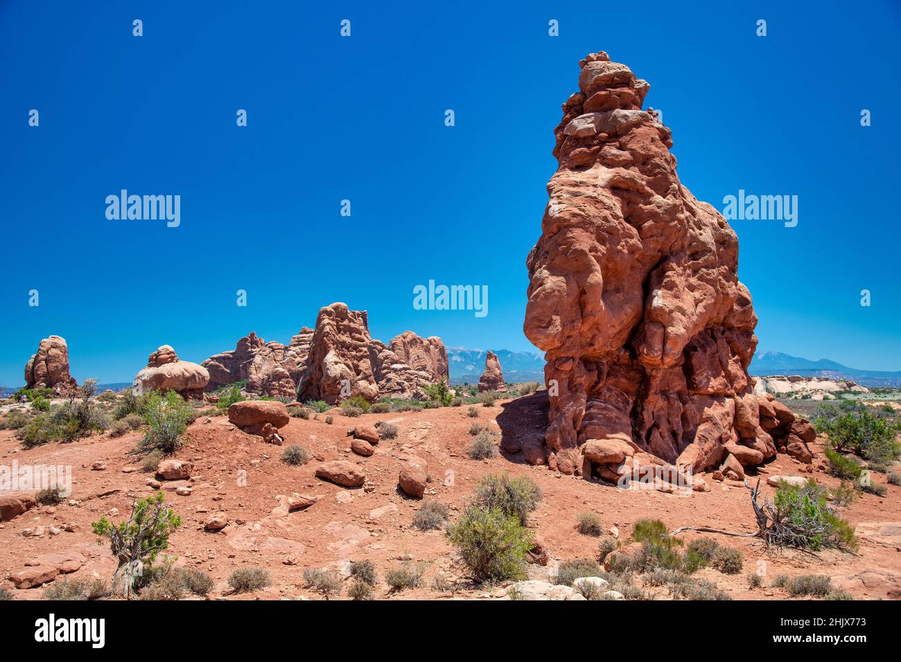 Wunderschöne natürliche Felsformationen im Arches National Park unter blauem Sommerhimmel, Utah. Stockfoto