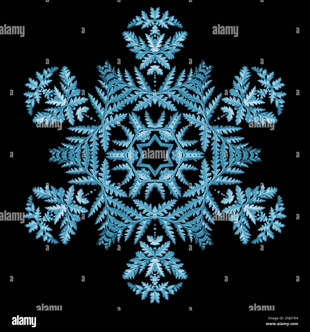 Kaleidoskop wiederholendes Muster mit Rotationssymmetrie, Schneeflocke aus Spitzenblatt Stockfoto