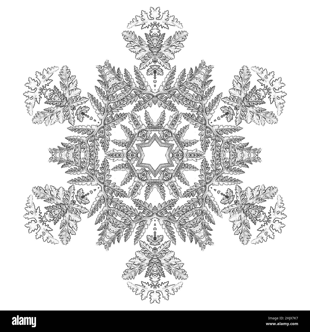 Kaleidoskop wiederholendes Muster mit Rotationssymmetrie, Schneeflocke aus Spitzenblatt Stockfoto