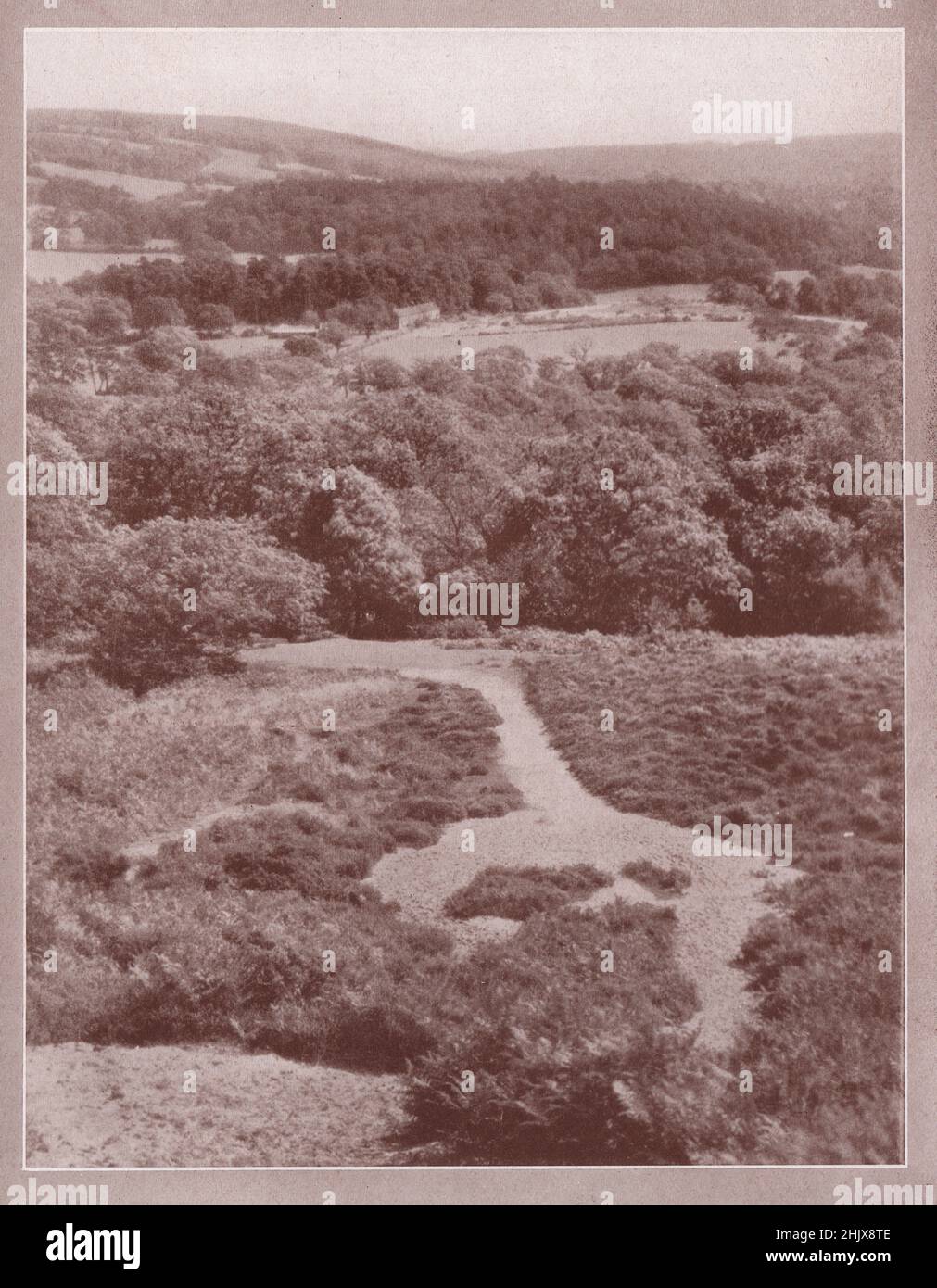 Der Pilgerweg, von der St. Martha's Chapel. Surrey (1923) Stockfoto
