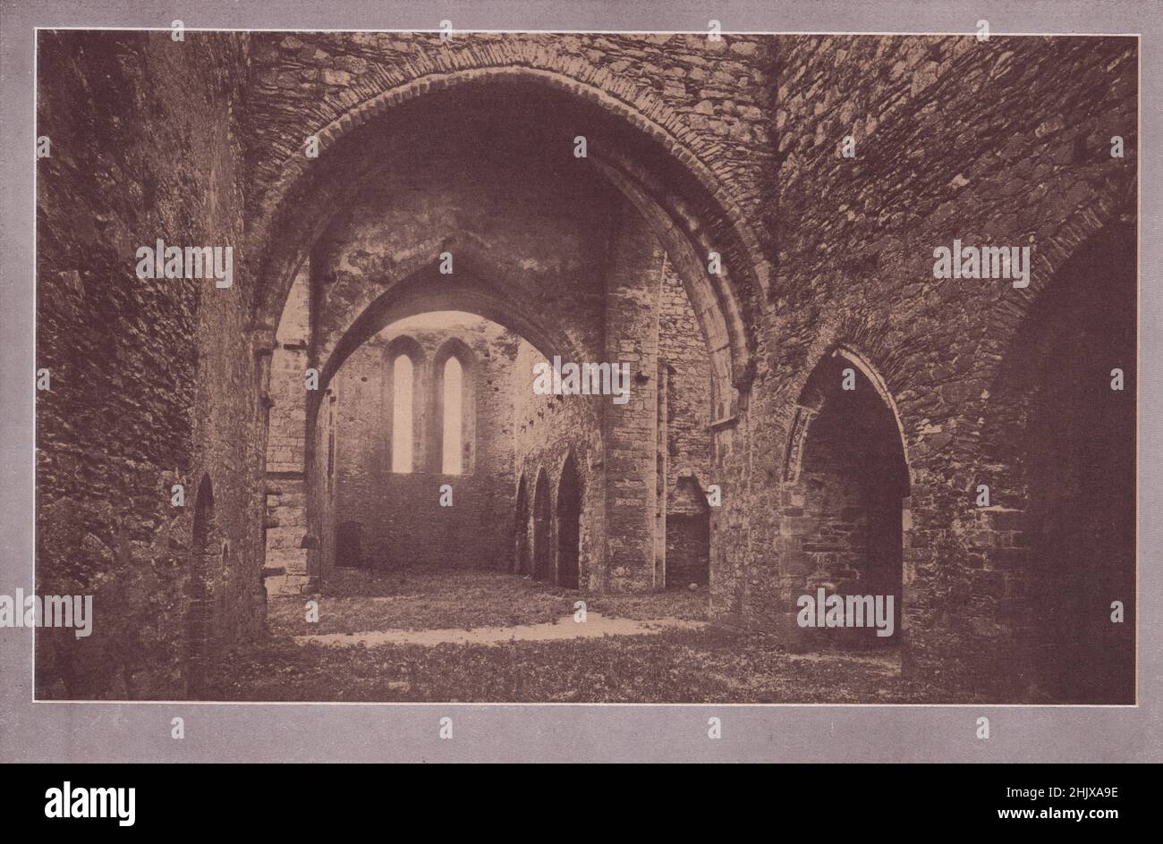 In Dunbrody Abbey . County Wexford (1923) Stockfoto