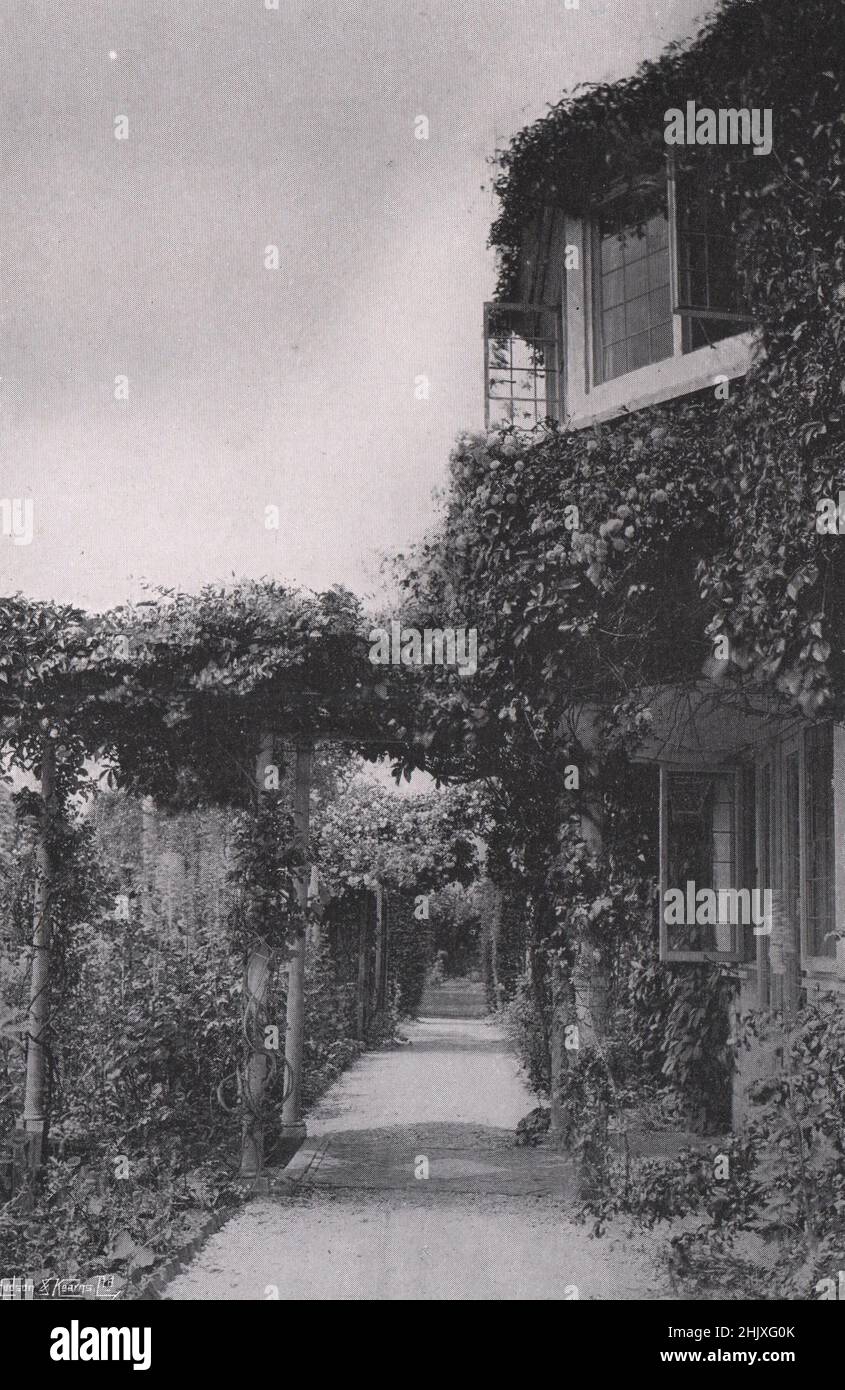 Rambler und Creeper. Hampshire. Rosebank, Silchester Common. - Entworfen von Herrn Mervyn E. Macartney (1922) Stockfoto