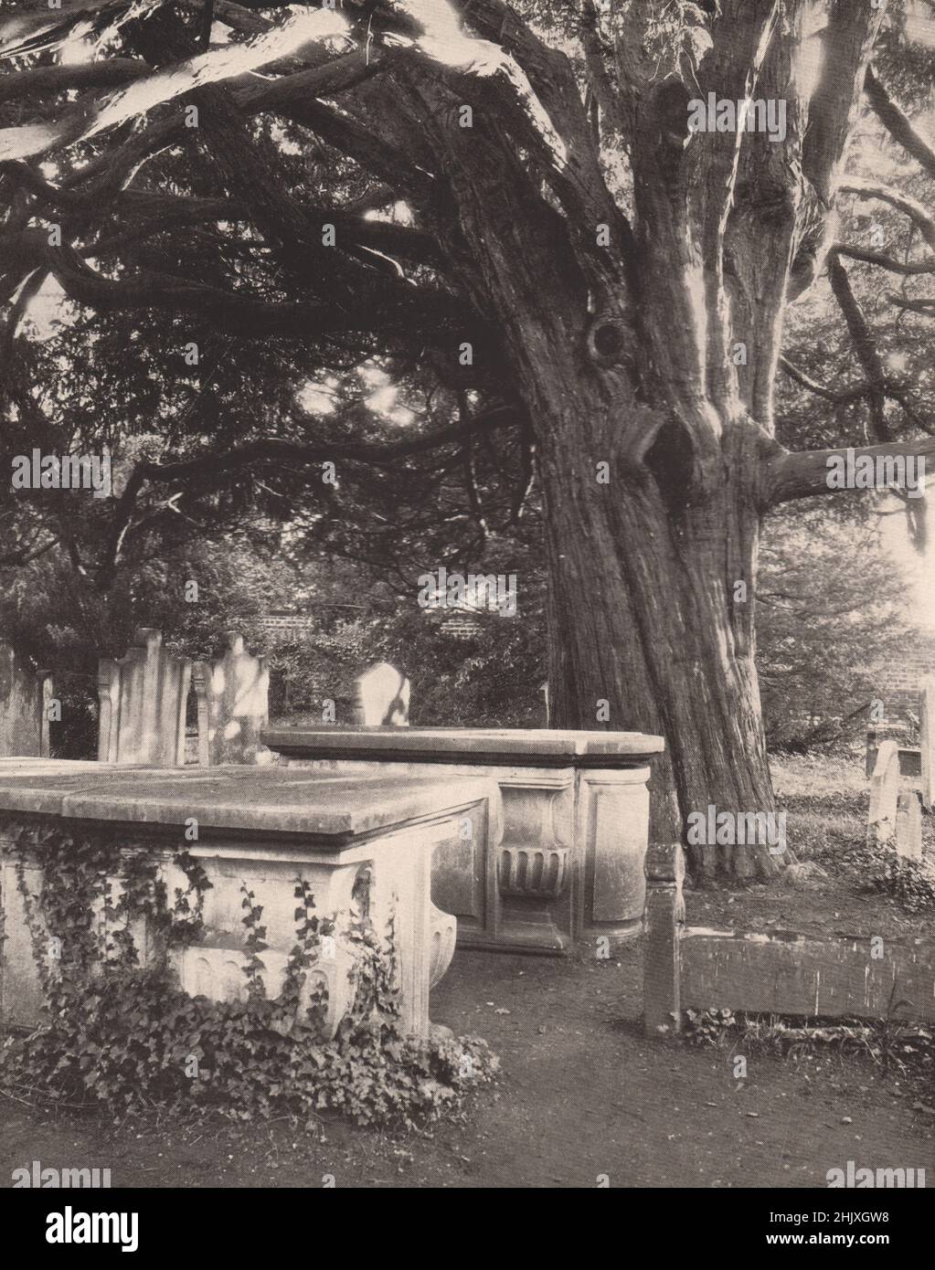 „Unter diesen rugged Elms, der Schatten des Yew-Tree“. Buckinghamshire (1932) Stockfoto