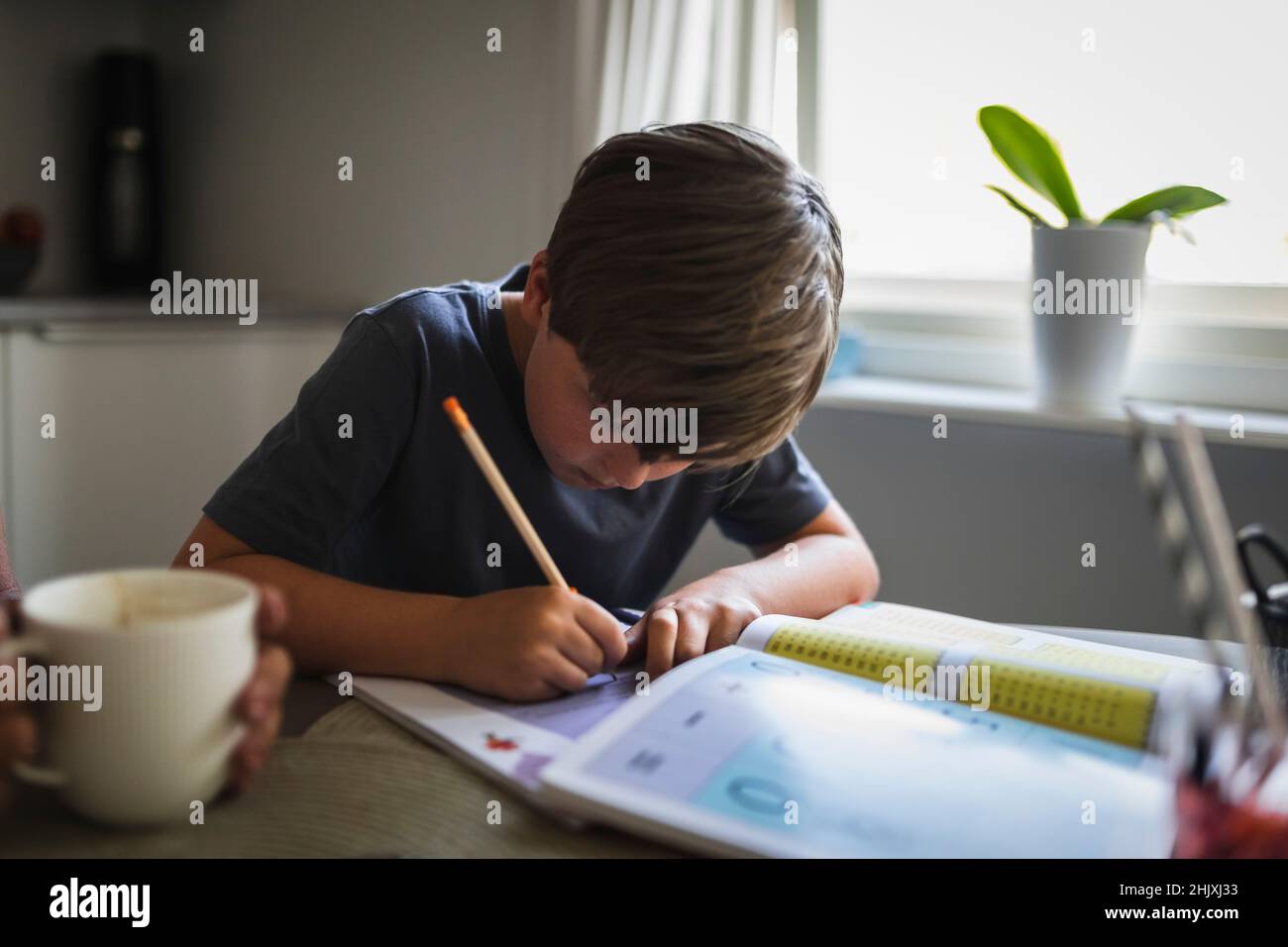 Junge, der zu Hause im Buch studiert Stockfoto