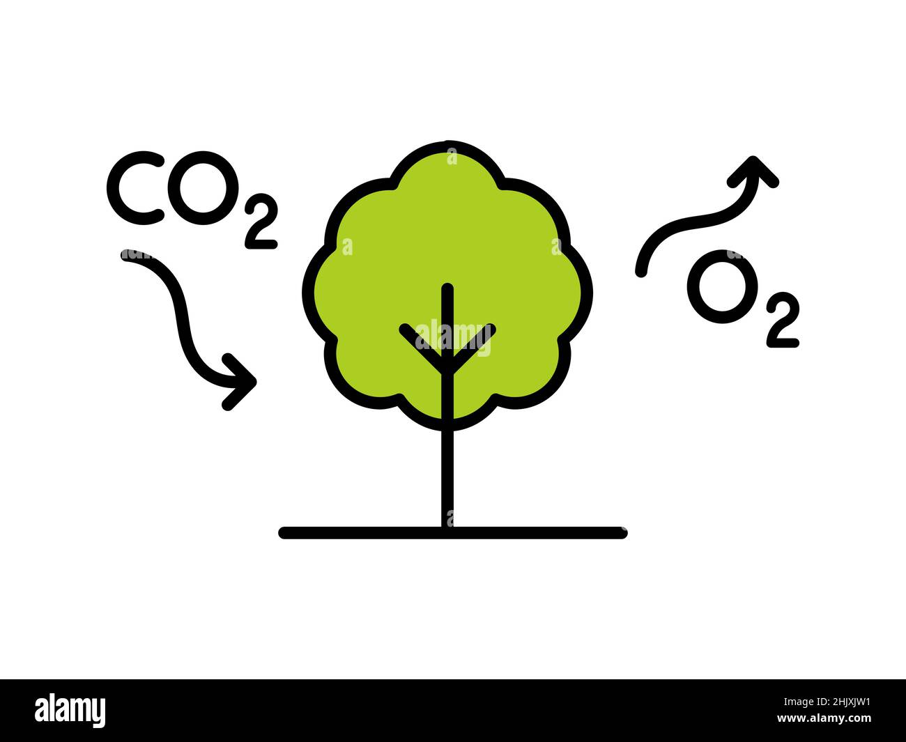 Kohlenstoffkreislauf. Baum absorbiert CO2 und gibt O2 frei. Prozessdiagramm zur Photosynthese. Reduzierung von Kohlendioxid. Sauerstoffproduktion. Aufforstungskonzept. Stock Vektor