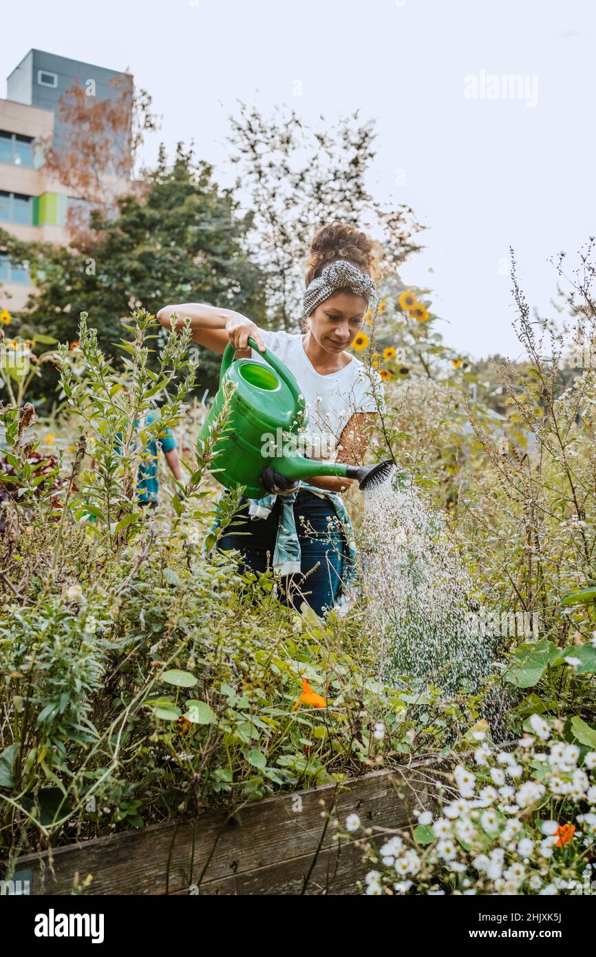 Mittlere Erwachsene weibliche Umweltschützerin Bewässerung Pflanzen im Garten Stockfoto