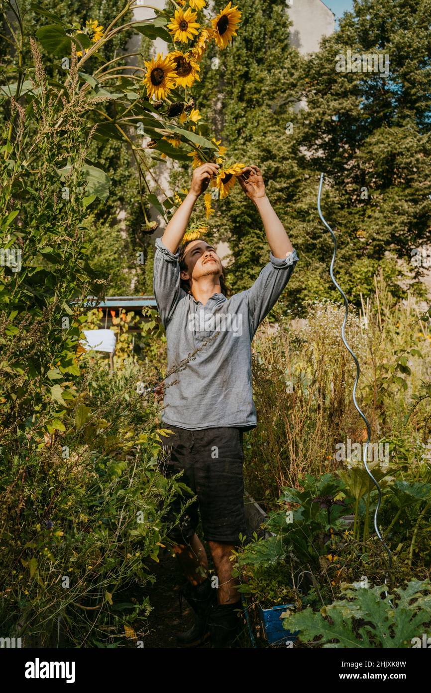 Junger männlicher Umweltschützer pflückt Blumen im Gemeinschaftsgarten Stockfoto