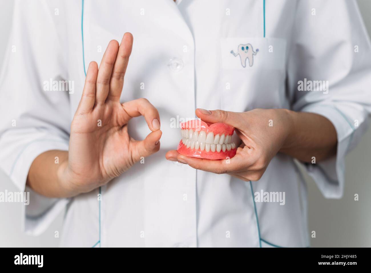 Der Zahnarzt hält Prothesen in den Händen. Zahnprothese in den Händen des Arztes Nahaufnahme. Vorderansicht der kompletten Prothese. Zahnmedizin Konzept Stockfoto
