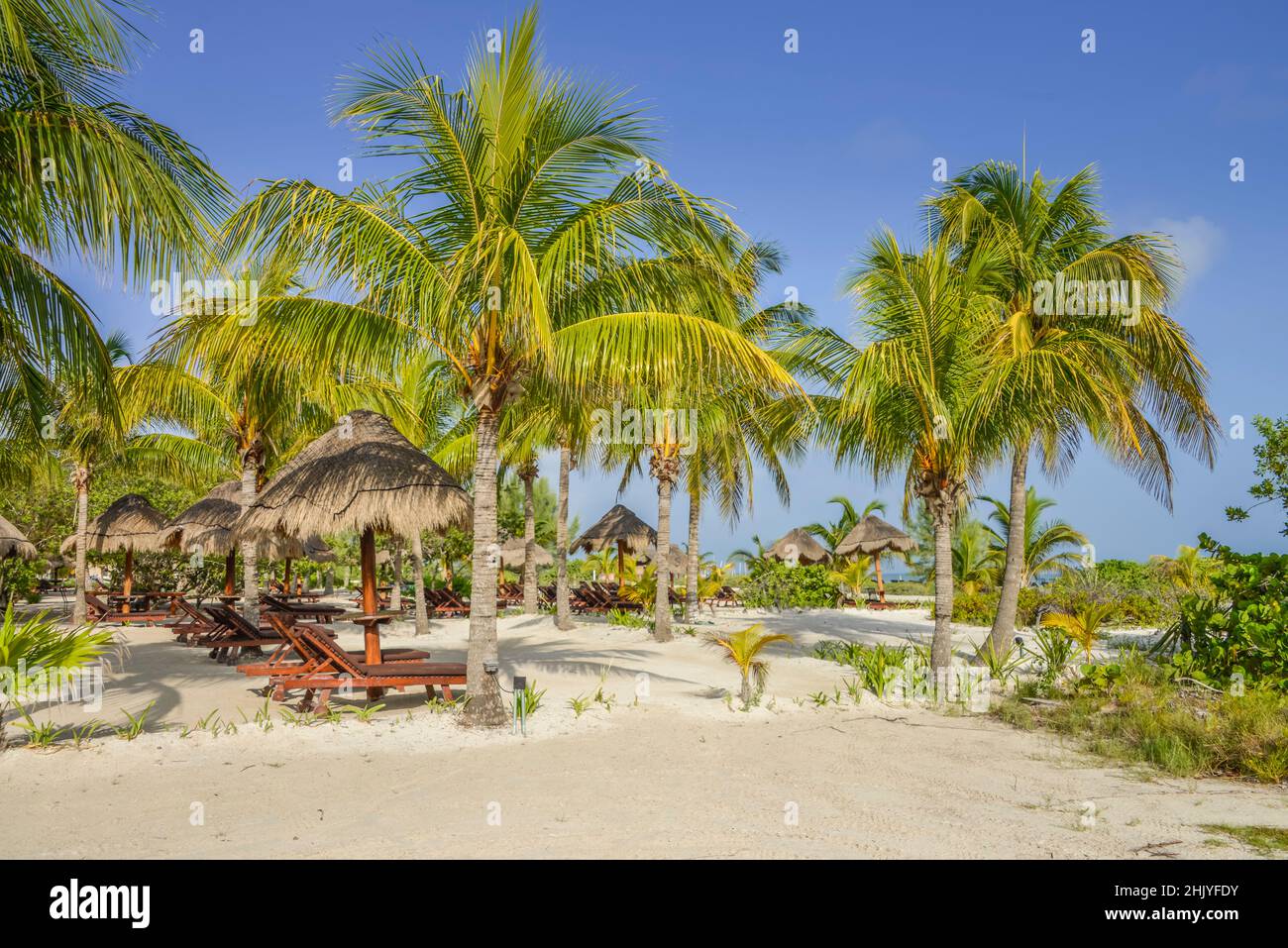 Palmenstrand, Isla Holbox, Quintana Roo, Mexiko Stockfoto
