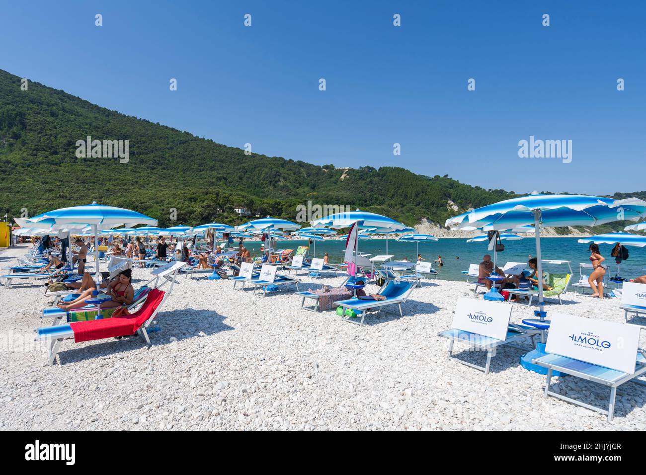 Seascape, Badegäpfel am Strand von Portonovo, Anarca, Marken, Italien, Europa Stockfoto