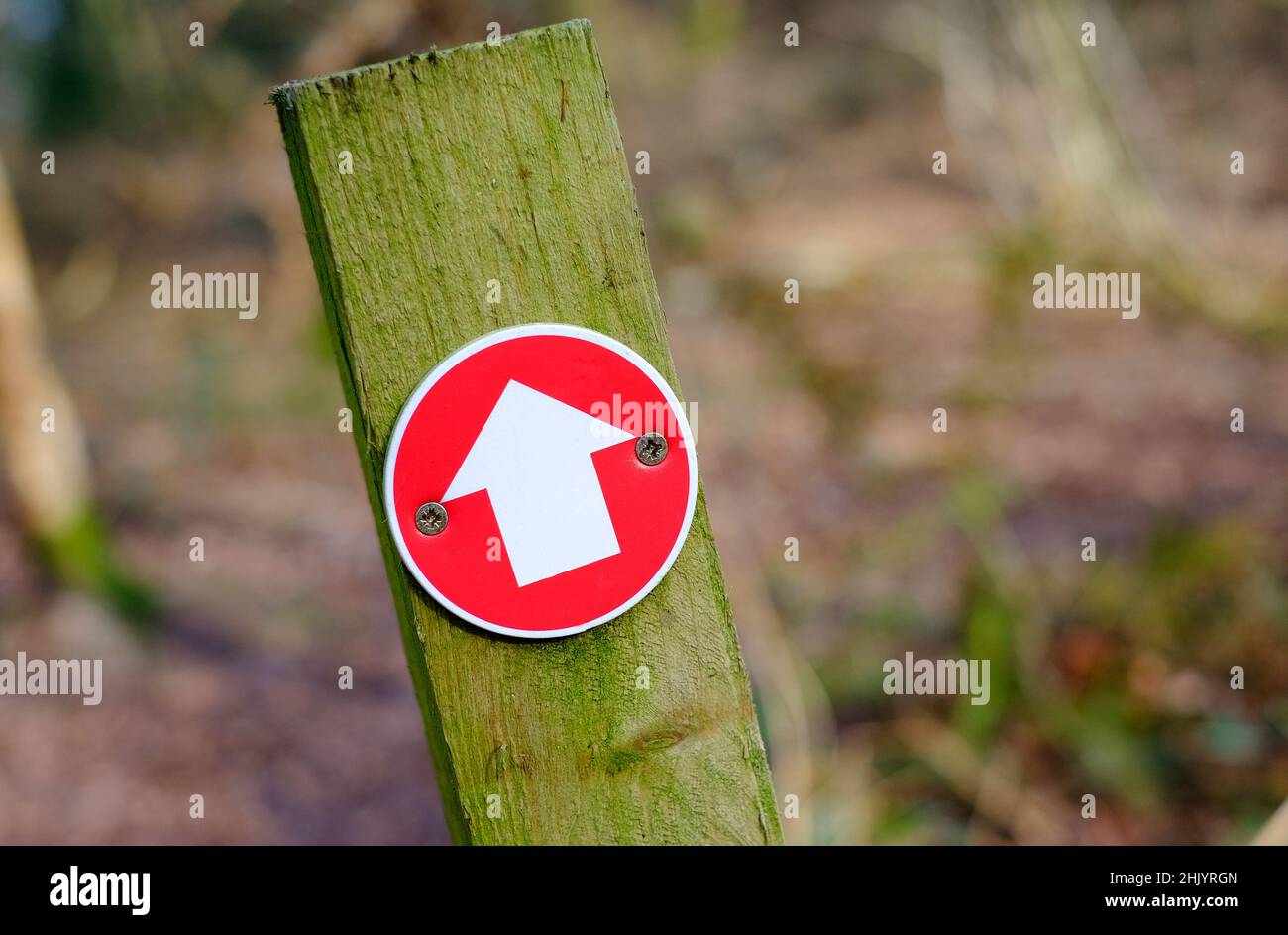 Rotes Wegweiser auf Holzpfosten, hübsche Ecke, sheringham, norfolk, england Stockfoto