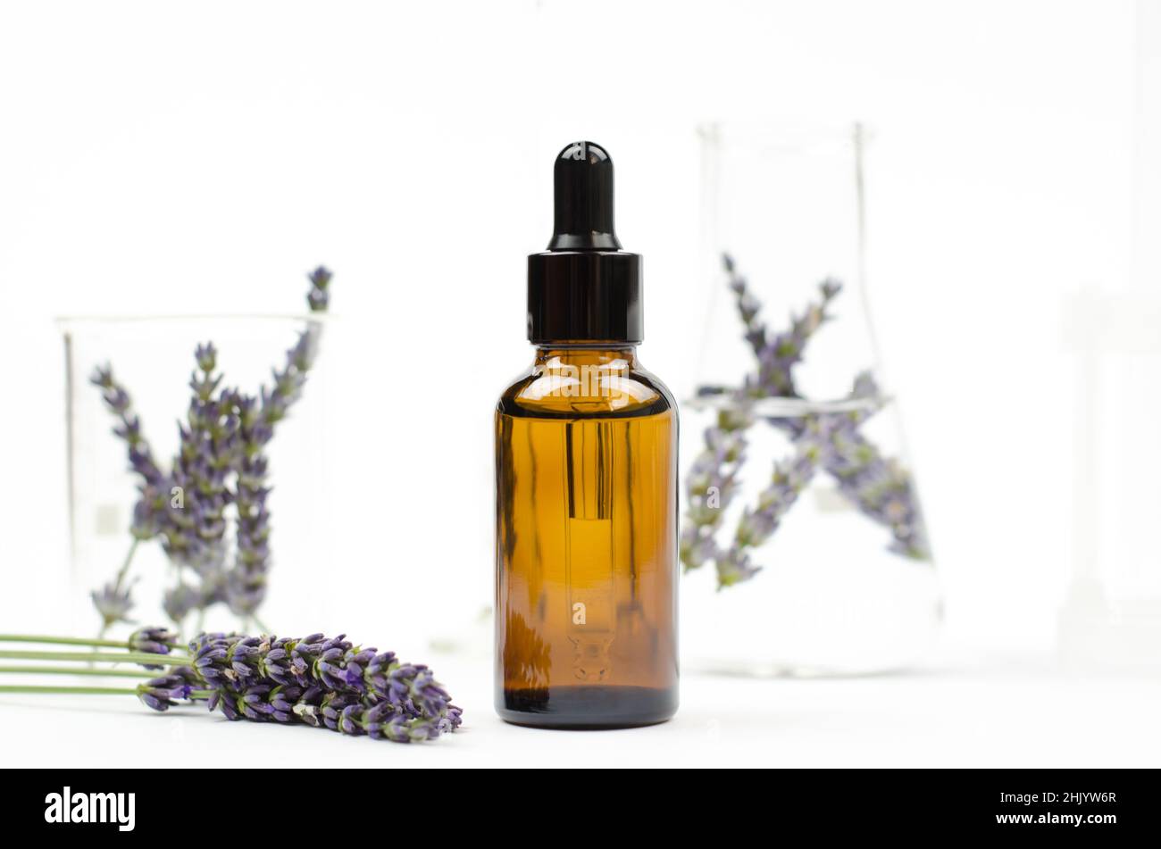 Ätherisches Lavendelöl in einer braunen Flasche mit Tropf. Natürliches ätherisches Öl und Lavendelblüten auf weißem Hintergrund Stockfoto