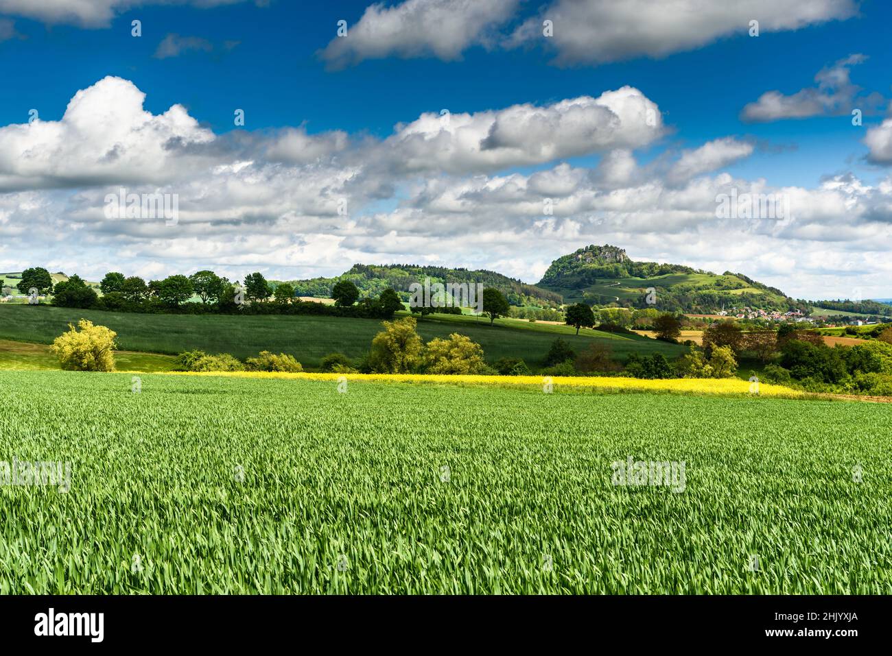 Hegauer Landschaft mit dem Hohentwiel Vulkan, Landkreis Konstanz, Baden-Württemberg, Deutschland Stockfoto