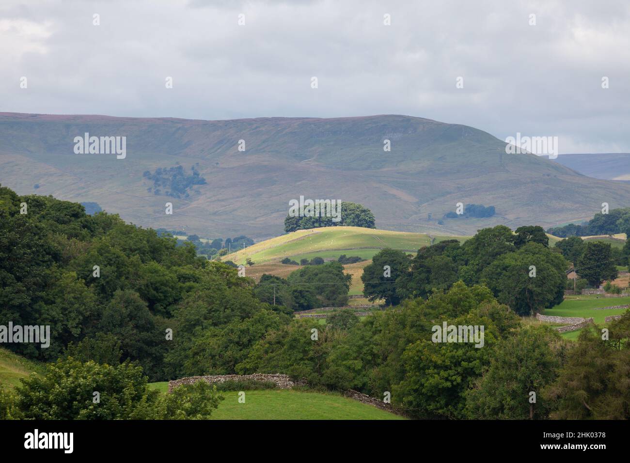 Blick auf die Landschaft mit Wäldern, Feldern und Hügeln im oberen Wensleydale im Yorkshire Dales National Park Stockfoto