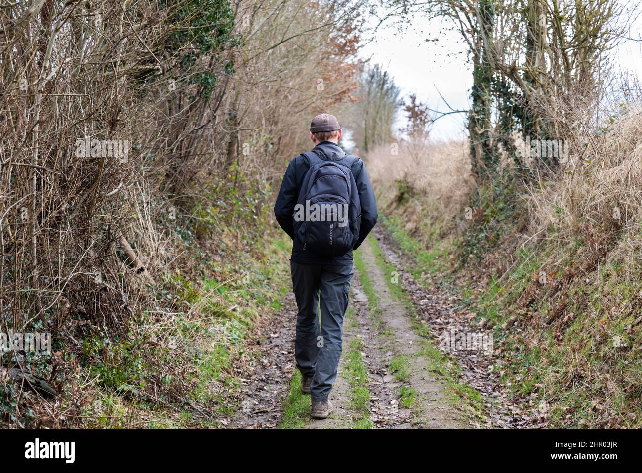 Leuven, Flämische Brabant Region, Belgien - 01 29 2022: Mann, der einen hohlen Weg durch den Wald geht Stockfoto