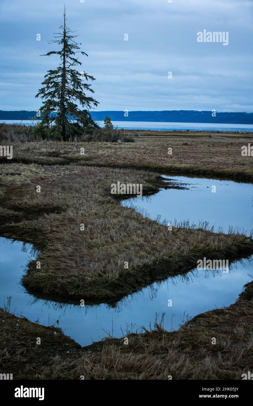 Washington Hood Canal Landschaft Düster Stockfoto