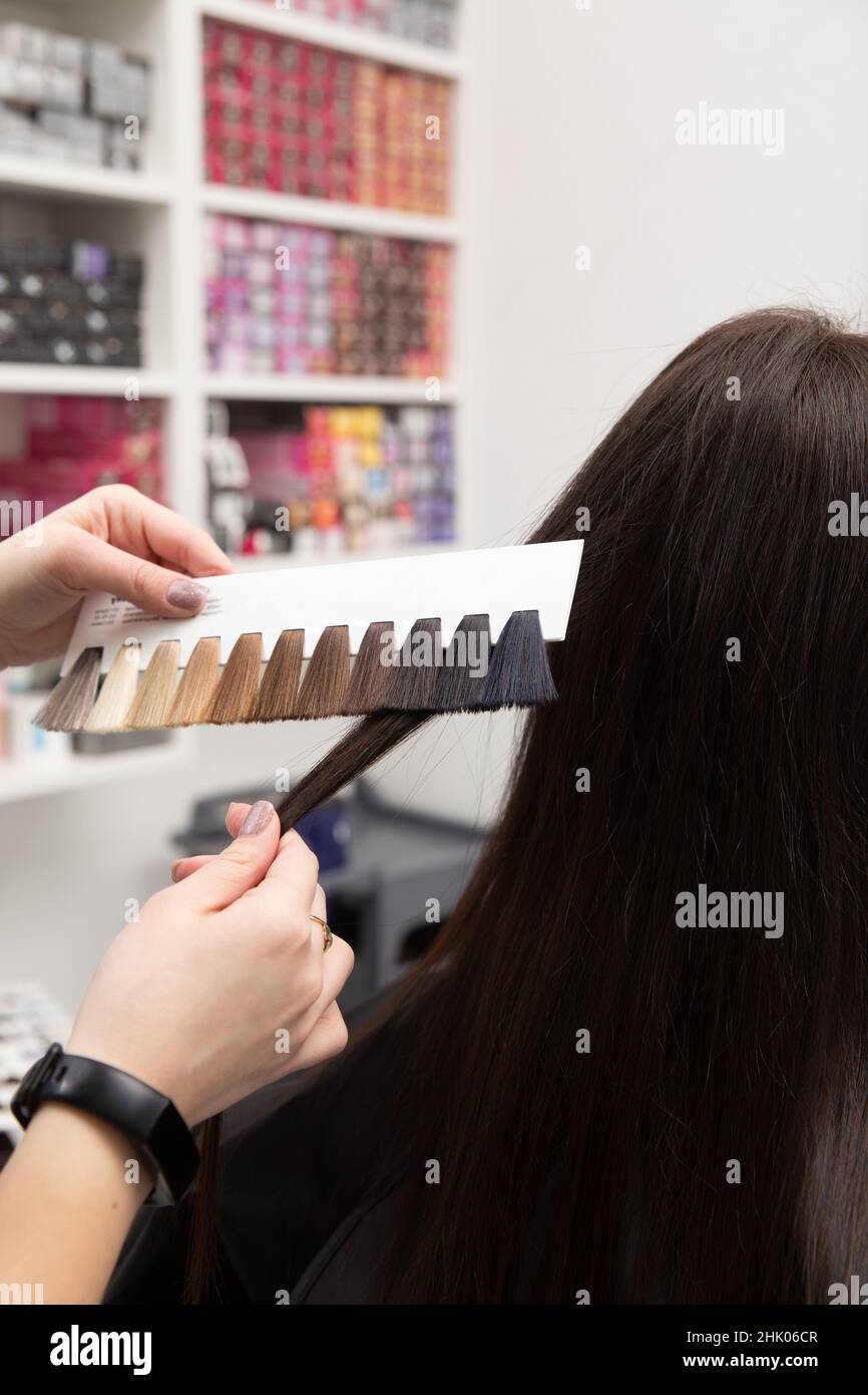 Der Friseur wählt die Farbe der Farbe mit einer Palette von Haarfarben während des Termins. Stockfoto