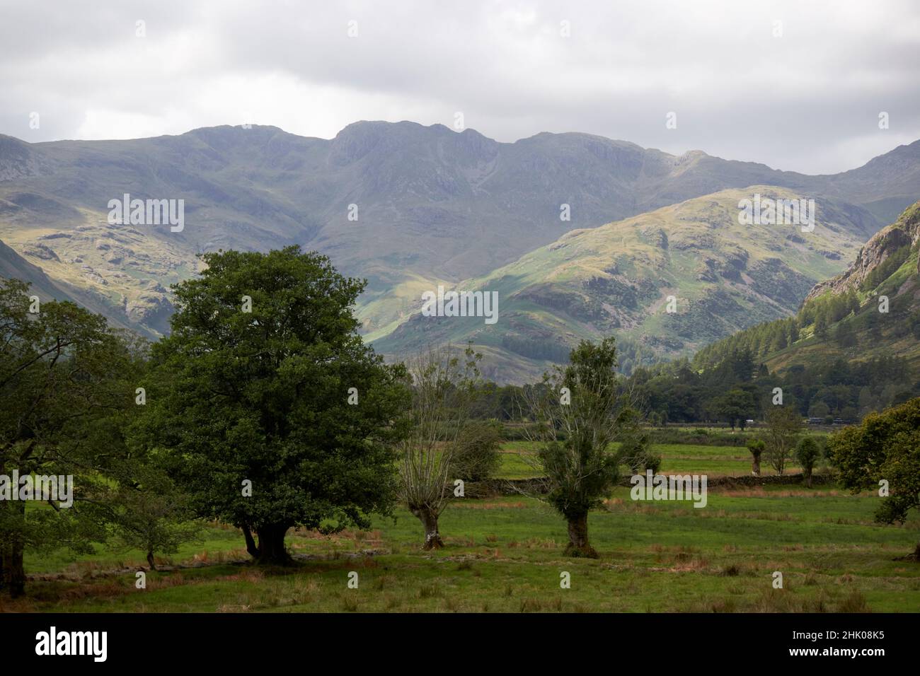 Zerknitterte Klippen aus dem langdale Valley, Lake District, cumbria, england, großbritannien Stockfoto