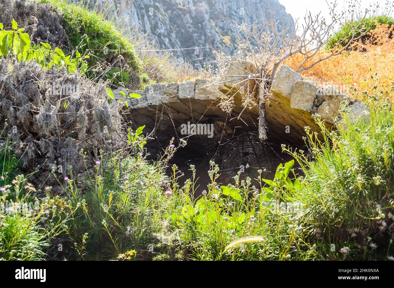 Mittelalterliche Archway-Ruinen mit Spinnennetz am Eingang in einer natürlichen Umgebung mit Büschen und Bäumen. Antikes Gebäude aus byzantinischer Zeit, Griechenland Stockfoto