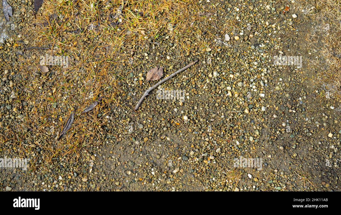 Kleine Kieselsteine, Stöcke, abgefallene Blätter und vergilbte Nadeln im Herbst auf dem Boden. Stockfoto
