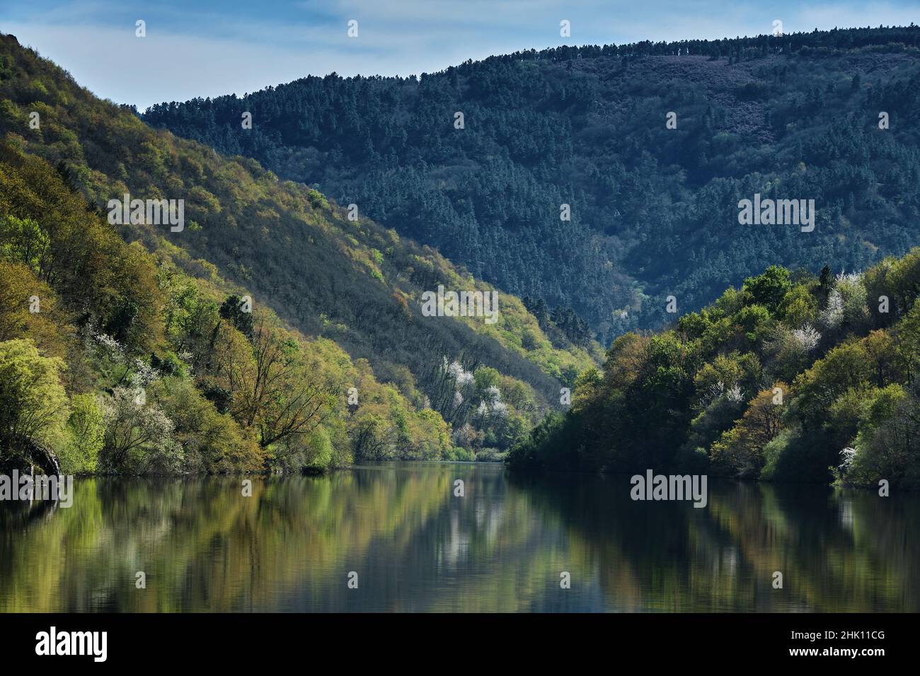 Frühlingslandschaft in Ribeira Sacra, Galicien, Spanien Stockfoto