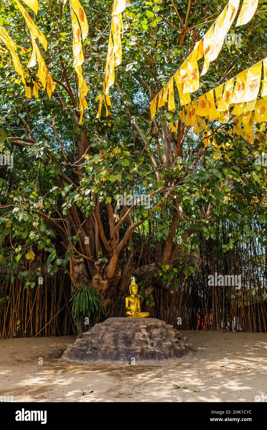 Tradition gelbe Gebetsfahne im Tempel Wat Phan Tao, Chiang Mai Stockfoto