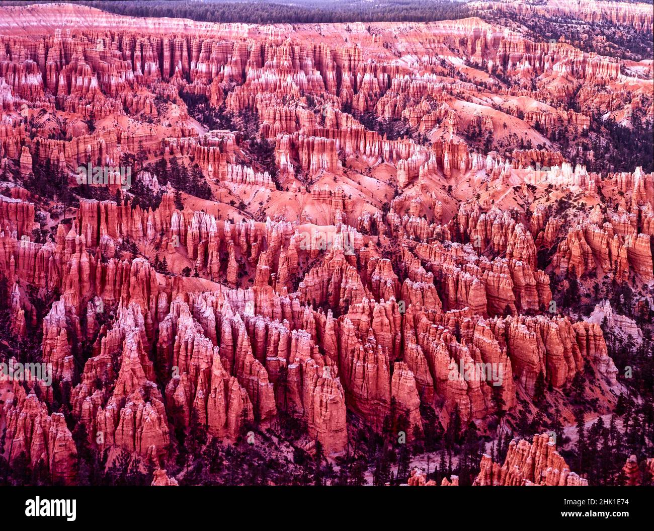 Herrliche Landschaft des Bryce Canyon, Utah, USA Stockfoto