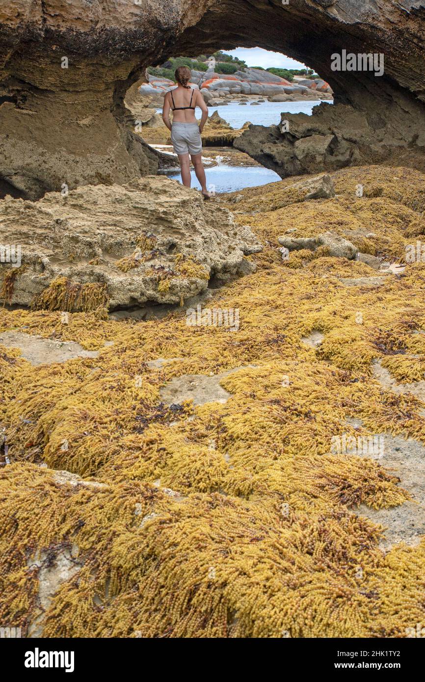 Meeresbogen in Port Davies, Flinders Island Stockfoto