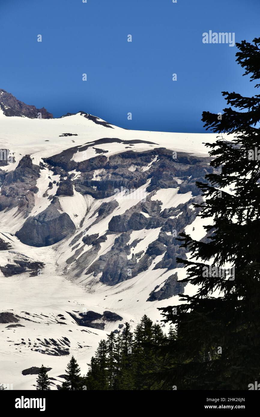 Mount Rainier Nationalpark, Washington State, USA Stockfoto