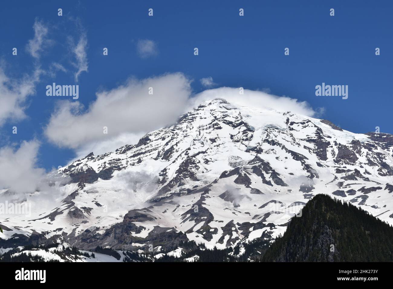 Mount Rainier Nationalpark, Washington State, USA Stockfoto