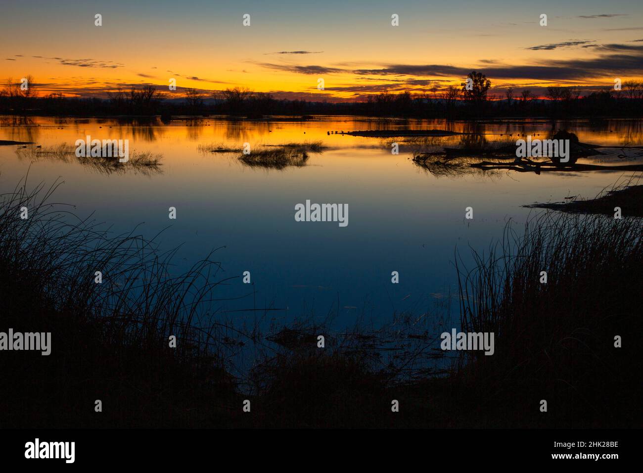 Teichdämmerung, Gray Lodge Wildlife Area, Kalifornien Stockfoto