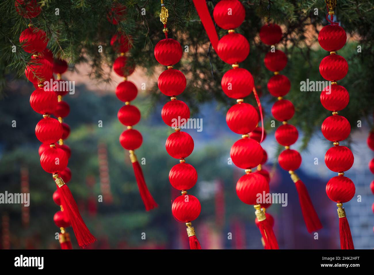 Rote Dekorationen, die im chinesischen Garten an Ästen hängen Stockfoto